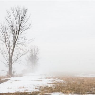 管家婆一码一肖资料大全app下载